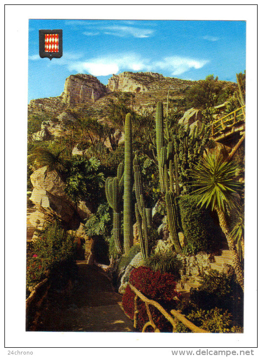 Monaco: Jardin Exotique, Cactus (14-3433) - Exotische Tuin