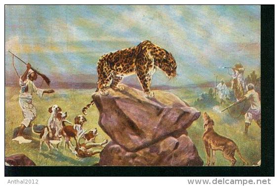 Hunter Dog Hunter Shooting At A Leopard Painting In Africa Serie 241 Um 1900 - Tigers