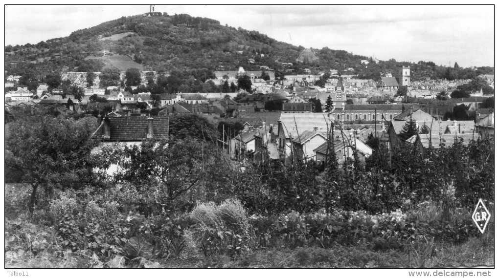 Trémonzey - Vue Générale ( La Légende Indique : Café Du Centre) Voir Scan Du Verso - Autres & Non Classés