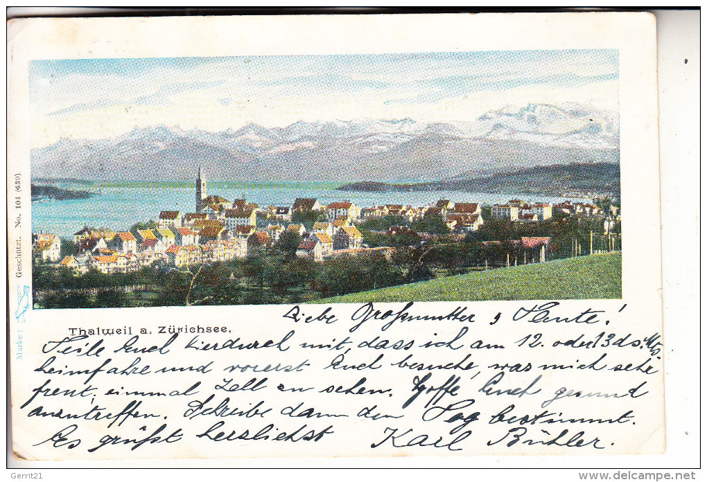 CH 8800 THALWIL, Panorama, 1901 - Thalwil