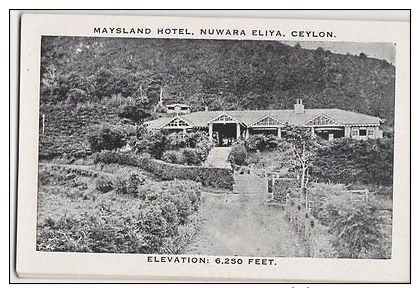 Maysland Hotel Nuwara Eliya Ceylon Vintage Postcard 137a - Sri Lanka (Ceylon)