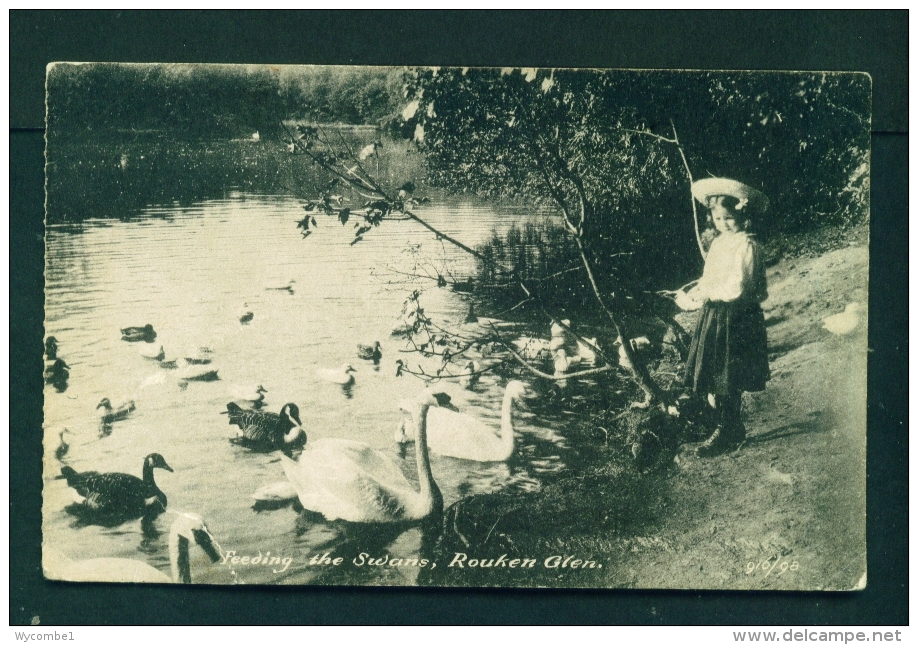 SCOTLAND  -  Rouken Glen  Feeding The Swans  Unused Postcard As Scan (torn Corner) - Renfrewshire