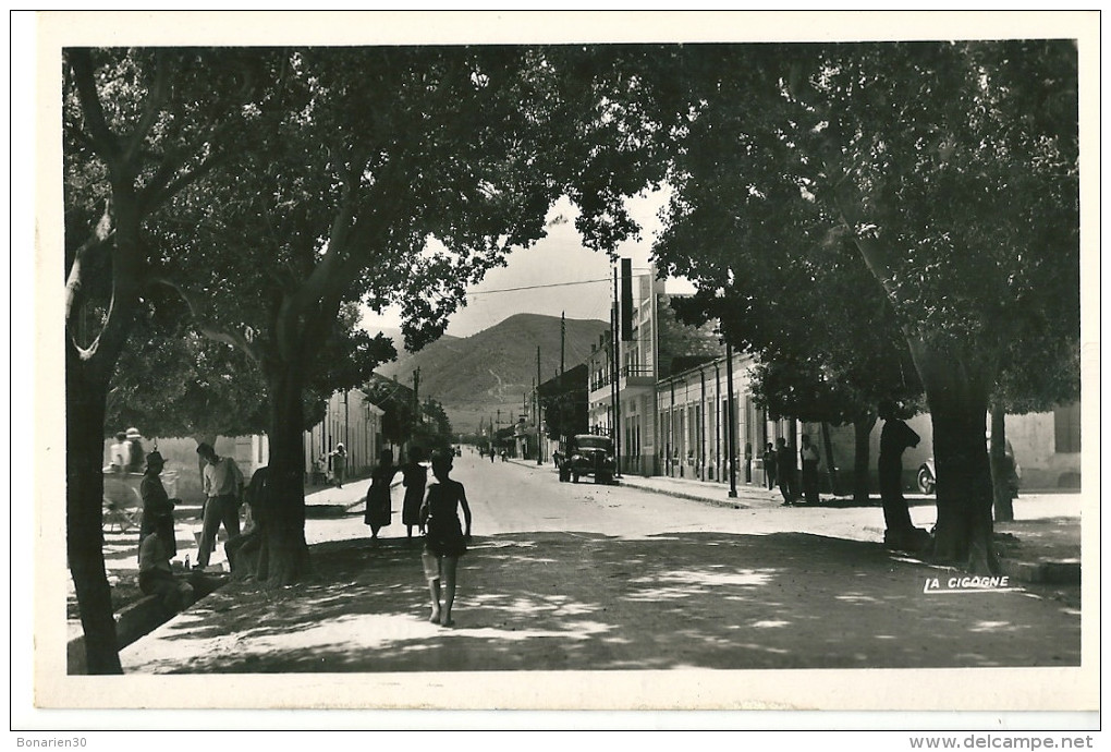 CPSM ALGERIE AIN-TEMOUCHENT LE BOULEVARD NATIONAL BELLE ANIMATION - Autres & Non Classés