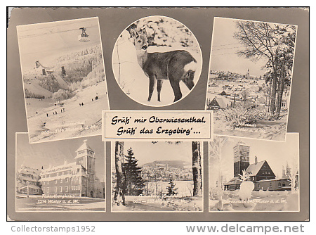 5458- ORE MOUNTAINS, OBERWIESENTHAL, VILLAGES, DEER, CABLE CAR, HOTEL, POSTCARD - Oberwiesenthal