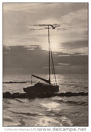 5477- ZINGST- BOAT IN SUNSET, POSTCARD - Zingst