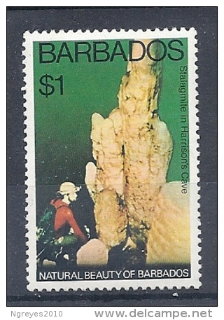 140016328  BARBADOS   YVERT  Nº  431  **/MNH - Barbados (1966-...)