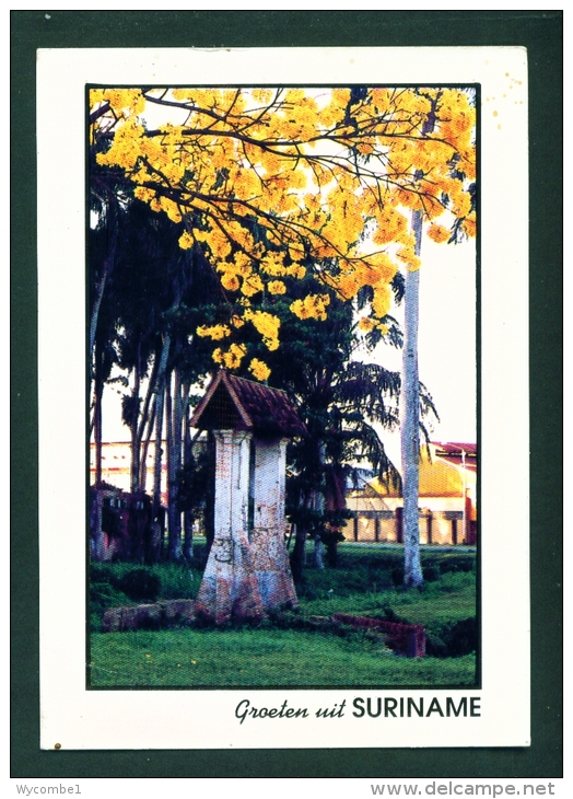 SURINAM  -  Oude Sluis  Used Postcard As Scans - Suriname