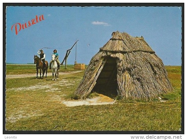 PUSZTA Burgenland Lange Lacke Salzflora Weinhüterunterstand Bei Apetlon Illmitz Podersdorf 1972 - Other & Unclassified