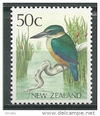 New Zealand: Sacred Kingfisher (Todiramphus Sanctus) - Autres & Non Classés