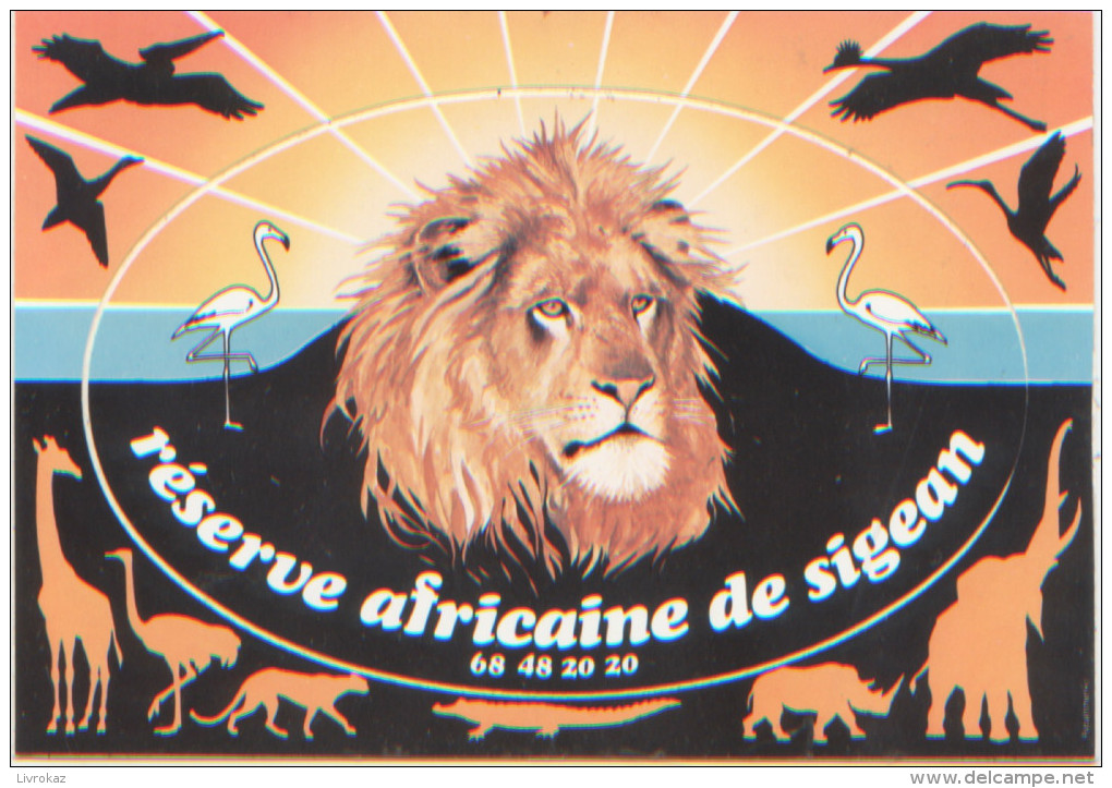 Autocollant Souvenir, Réserve Africaine De Sigean, Aude, Dos Divisé, Très Bon état, N´a Pas Circulé, Lion, Flamant Rose - Sigean