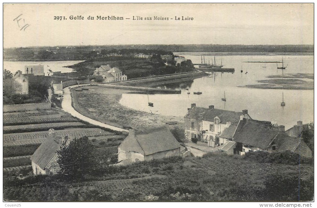 56 L'ILE AUX MOINES - Le Lairo - Ile Aux Moines