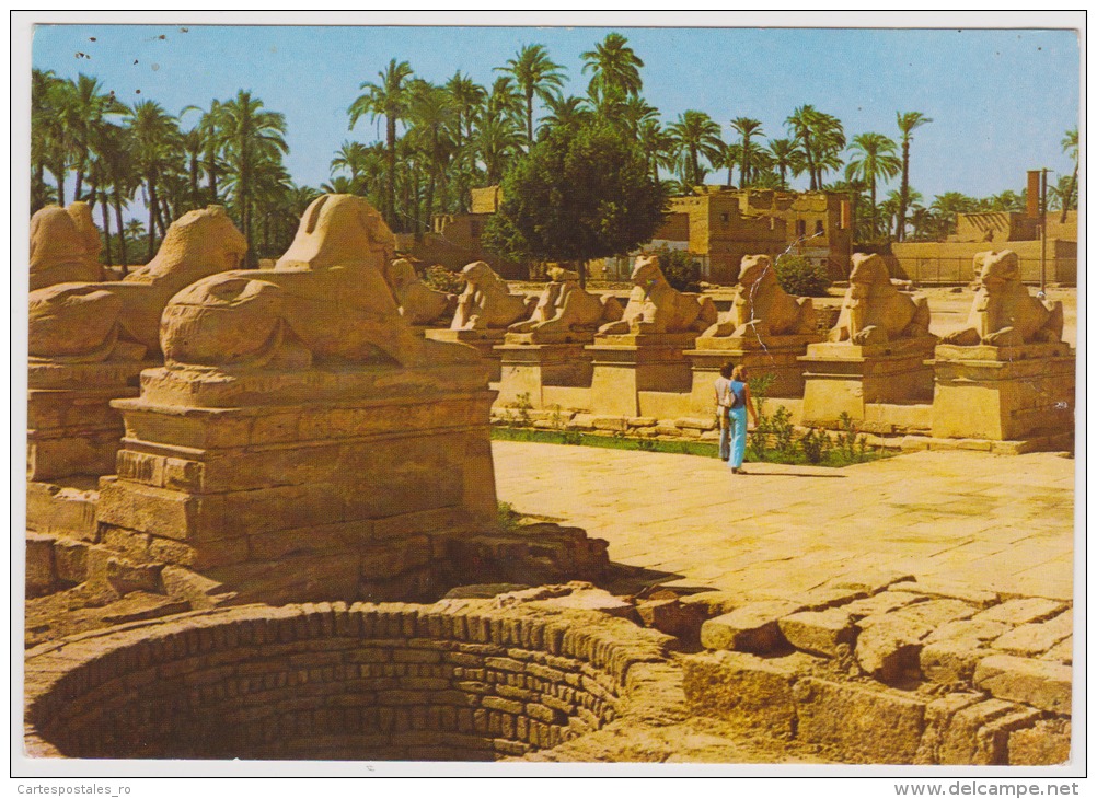 Karnak-the Famous Sphinx Avenue At Amon Themple-used,perfect Shape - Louxor