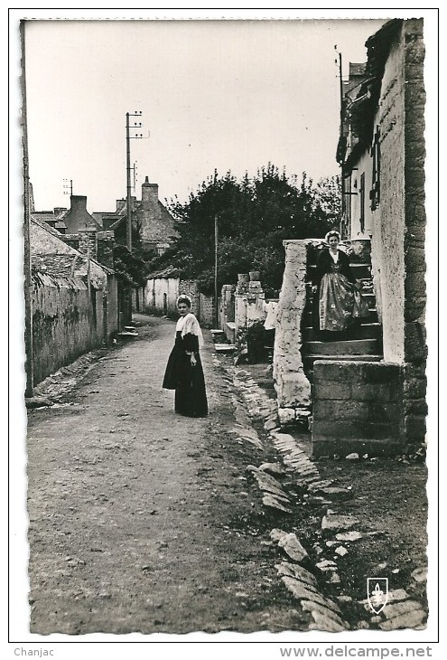 Cpsm: 56 ILE D´ARZ (ar. Vannes) La Grand'Rue (animée)  N° 1110 - Ile D'Arz