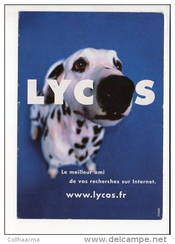 Animal De Compagnie / Chien Dog / Lycos ,le Meilleur Ami Internat - Chiens