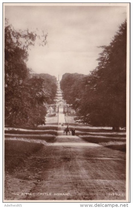 NT3/  The Avenue, Castle Howard, North Yorkshire Near York RPPC - York