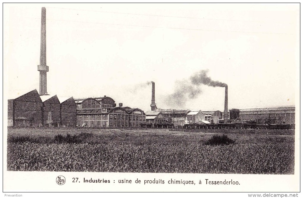 TESSENDERLOO - Usine De Produits Chimiques - Industries - Tessenderlo