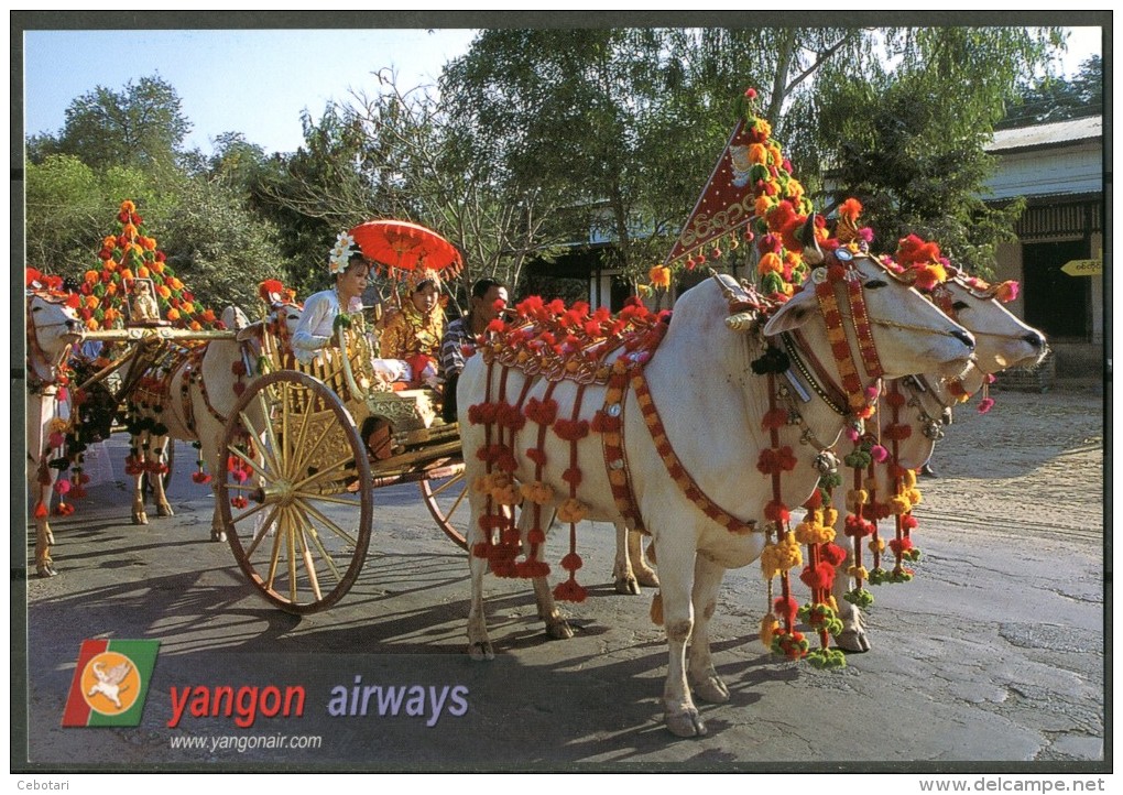MYANMAR (BURMA) - Yangon Airways - Cartolina Non Viaggiata Come Da Scansione - Myanmar (Burma)