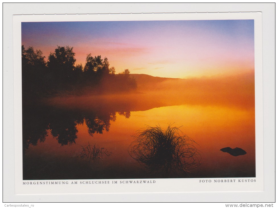 Schluchsee-Schwarzwald-unused,perfect Shape - Schluchsee