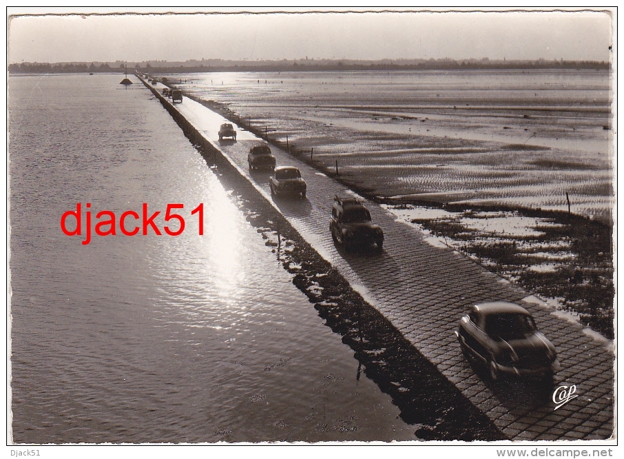 85 -  NOIRMOUTIER (Vendée) - Le Passage Du Gois Au Soleil Couchant (Voitures / Années 50 - 60) - Noirmoutier