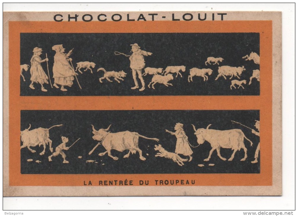 CHROMOS - CHOCOLAT LOUIT -  LA RENTREE DU TROUPEAU - Louit