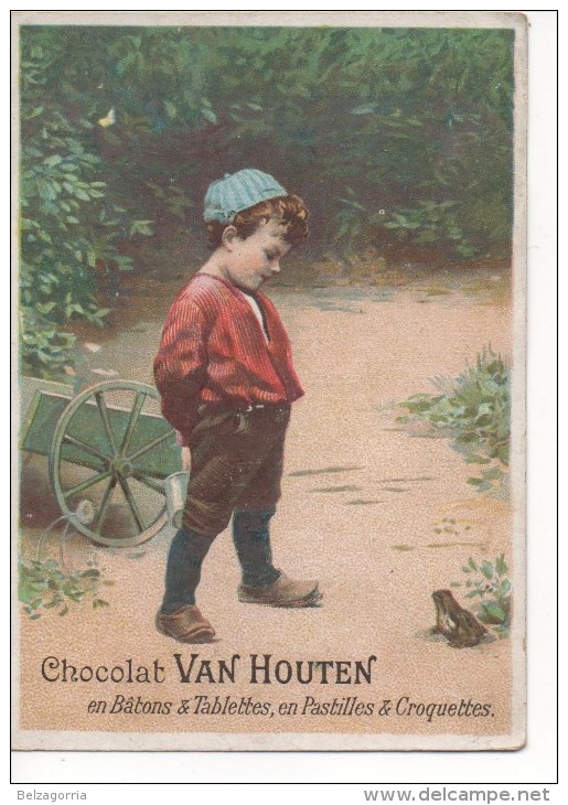 CHROMOS - CHOCOLAT VAN HOUTEN - ENFANT, GRENOUILLE - Van Houten