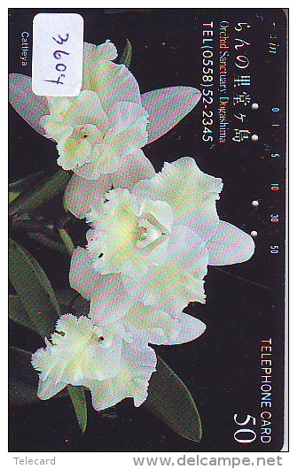 Télécarte Japon * ORCHID * FLEUR (3604) Orchidée Orquídea Orquidée Orchid * Flower Phonecard JAPAN * - Flores