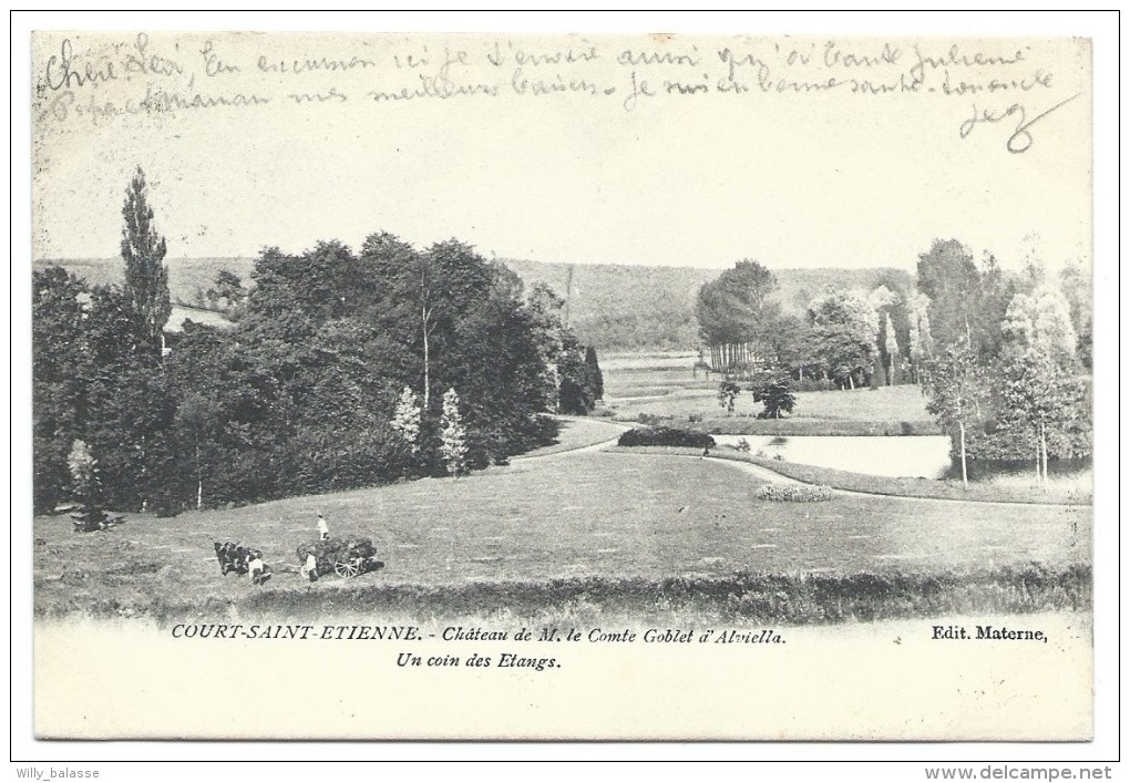 Carte Postale - COURT SAINT ETIENNE - Château De M. Le Comte Goblet D'Alviella - Un Coin Des étangs - CPA  // - Court-Saint-Etienne