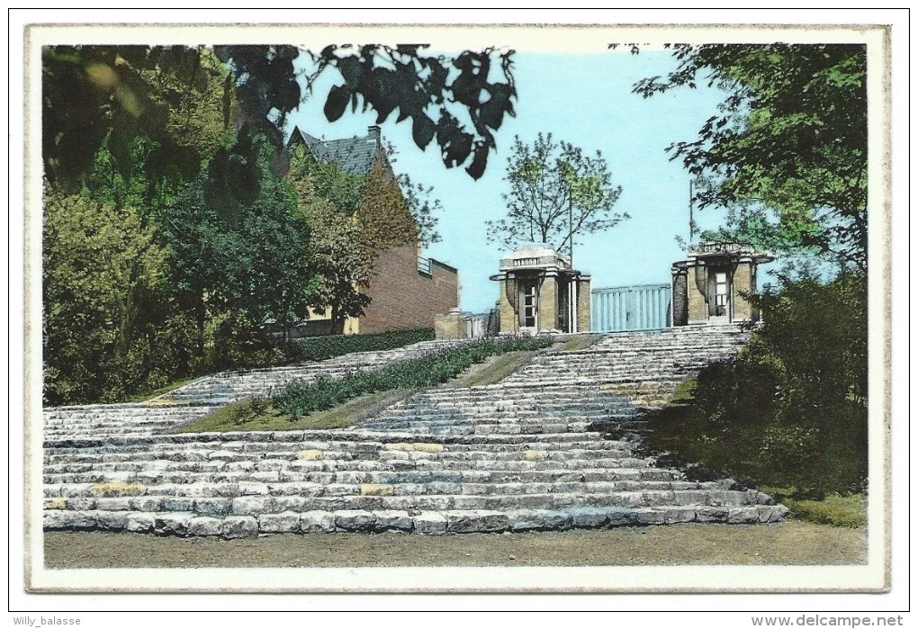 Carte Postale - MOUSCRON - MOESKROEN - Entré Du Parc - CPA  // - Mouscron - Möskrön