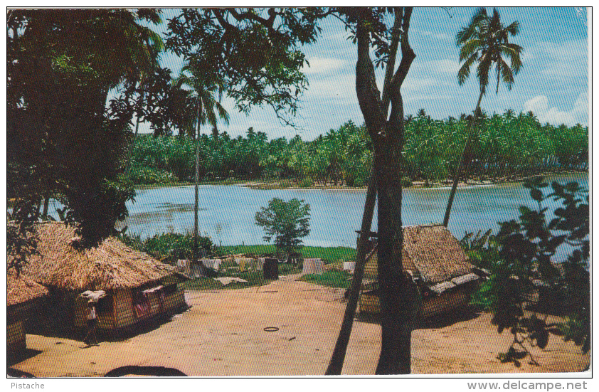 French Polynesia - Punaauia - Society Islands - Tahiti - Traditional Houses - Animated - 2 Scans - Tahiti