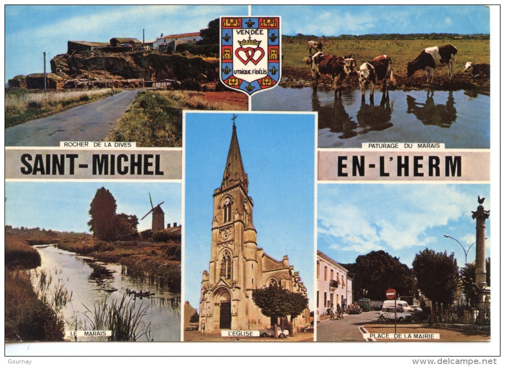 Saint Michel En L'Herm (Vendée) Multivues N°101 Rocher Dives Paturage Marais église Place Mairie - Saint Michel En L'Herm