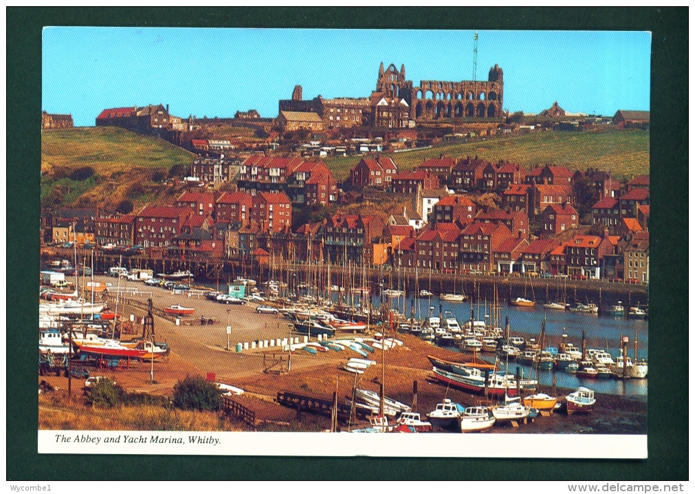 ENGLAND  -  Whitby  The Abbey And Yacht Marina   Unused Postcard As Scan - Whitby