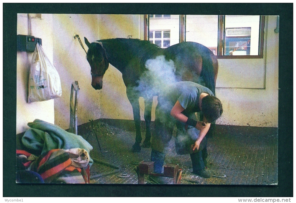 ENGLAND  -  Shoeing A Horse At Bow Police Station In London  Unused Postcard As Scan - Other & Unclassified