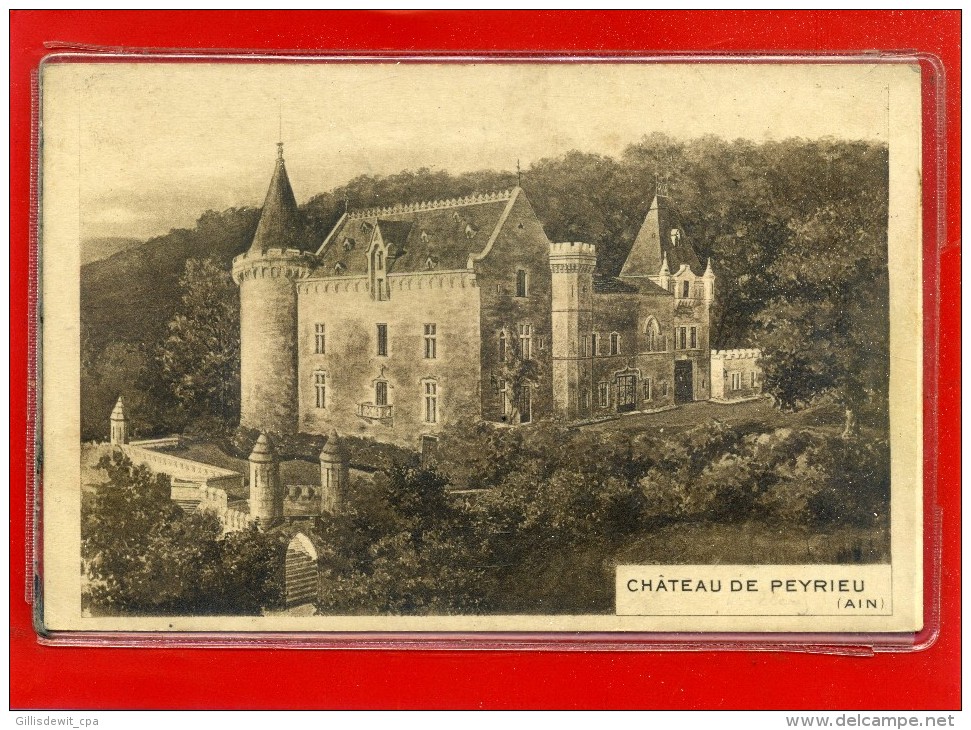 - PEYRIEU C/ Belley - Château - Non Classés