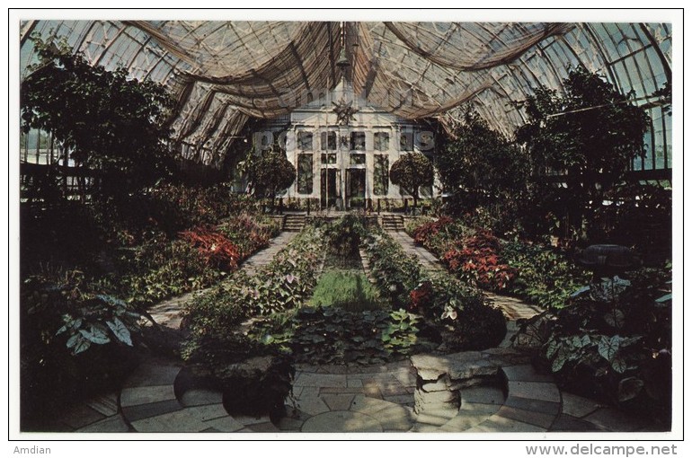 St Paul MN - Interior Of Conservatory At Como Park - C1960s Vintage Minnesota Postcard - St Paul