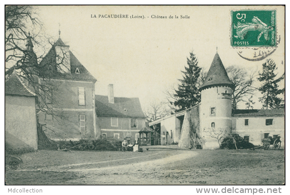 42 LA PACAUDIERE / Château De La Salle / - La Pacaudiere