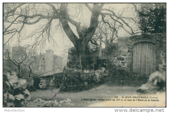 42 SAINT JEAN SOLEYMIEUX / L'Orme Géant Et Tour De L'Hôtel De La Gabelle / - Saint Jean Soleymieux