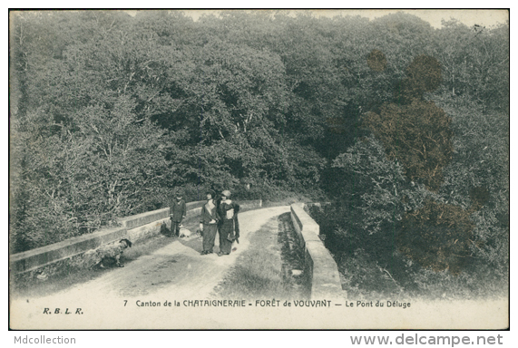 85 LA CHATAIGNERAIE / Forêt De Vouvant, Le Pont Du Déluge / - La Chataigneraie