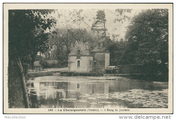 85 LA CHATAIGNERAIE / L'Etang De Jourdain / - La Chataigneraie