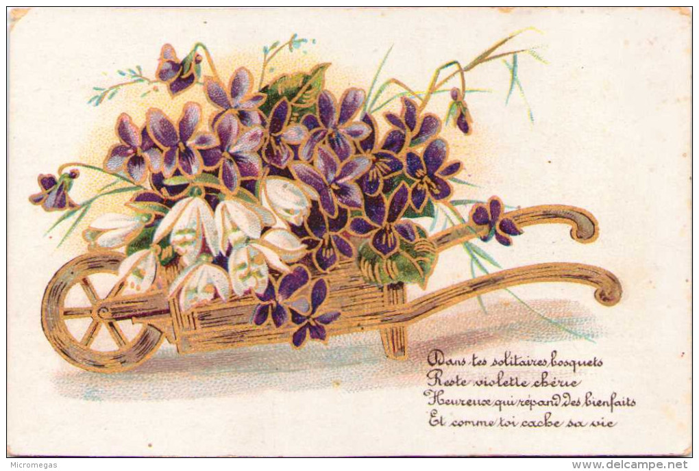 Brouette De Fleurs - Publicité Eaux-de-vie D'Algérie - Dépôt Chez Mme Boissel à Écouis (Eure) - 1900-1949