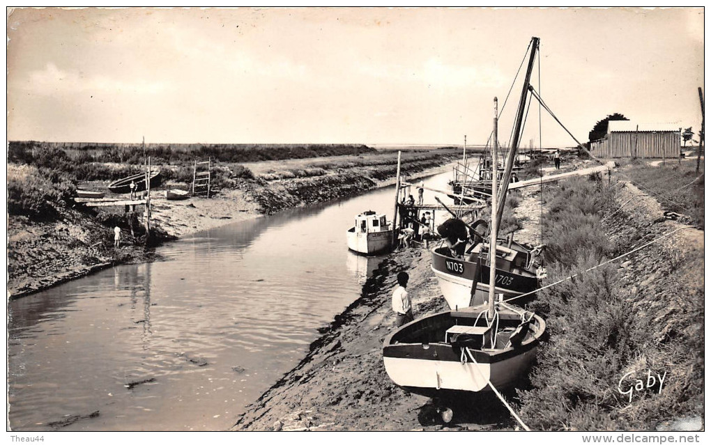 ¤¤  -   19  -   BOURGNEUF-en-RETZ   -    Le  Port   -  Bateaux De Pêche   -  ¤¤ - Bourgneuf-en-Retz