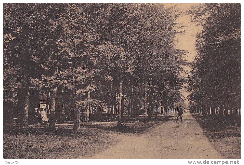 Pays-Bas - Baarn - Oranjeboom - Postmarked 1947 - Baarn