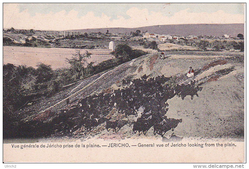 PC Jericho - General Vue Of Jericho Looking From The Plain (9616) - Israel