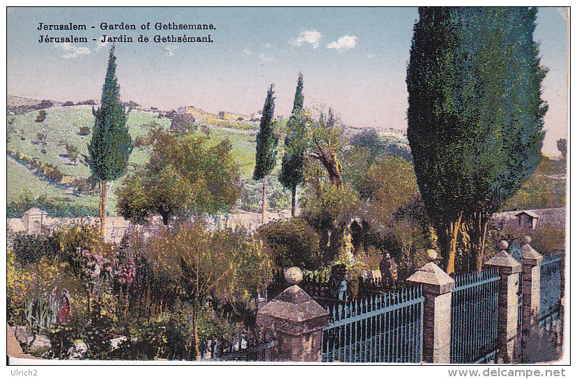 PC Jerusalem - Garden Of Gethsémani (9618) - Israel