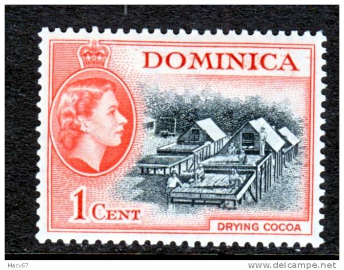 Dominica  143    *   COCOA - Dominica (...-1978)