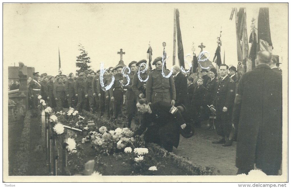 Mechelen / Malines Octobre 1944 -  Défilé Des F.F.I. Devant Des Tombes De Soldats - Fotokaart ( Verso Zien ) - Malines