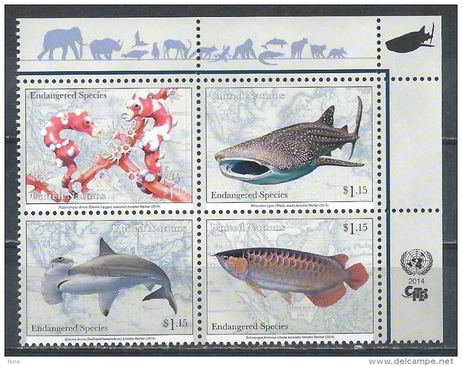 UN-New York. Scott # 1097-1100  MNH Block Of 4. Endangerd Species Fishes. 2014 - Unused Stamps