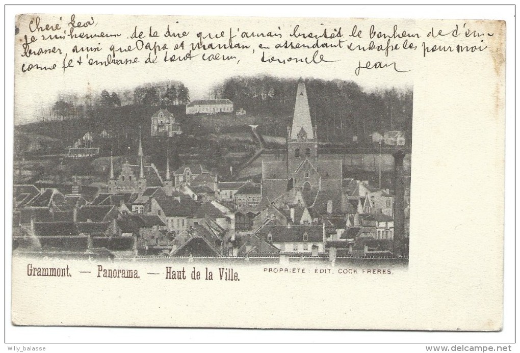 Carte Postale - GRAMMONT - Panorama - Haut De La Ville - CPA   // - Geraardsbergen