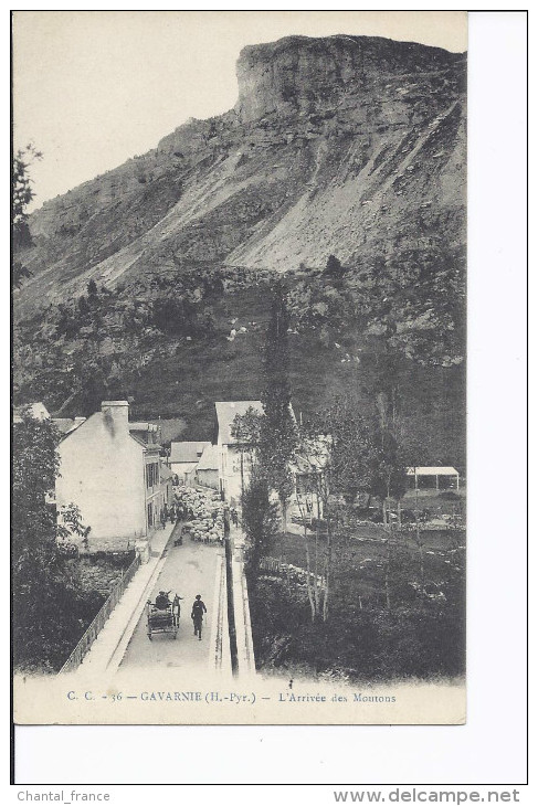 1 Cpa Gavarnie. L'arrivée Des Moutons. Attelage - Gavarnie