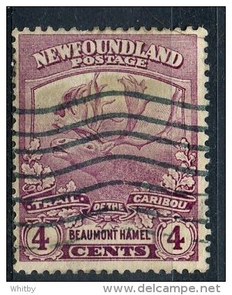 Newfoundland 1919 4 Cent Trail Of The Caribou Issue #118 - 1908-1947