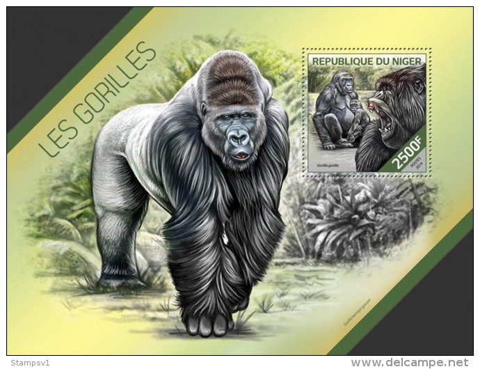 Niger. 2014 Gorillas. (211b) - Gorilla